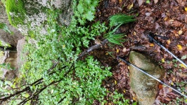 오색 주전골 용소폭포 산행 1 - 정기산행 앨범 - 서산 천지산악회 오색 주전골 용소폭포 산행 1