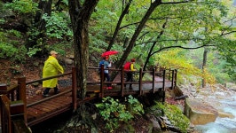 흘림골 ♡주전골 정기산행~5 - 정기산행 앨범 - 서산 천지산악회 흘림골 ♡주전골 정기산행~5