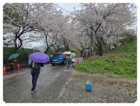 천주산 - 정기산행 앨범 - 서산 천지산악회 천주산