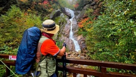 흘림골 ♡주전골 정기산행~3 - 정기산행 앨범 - 서산 천지산악회 흘림골 ♡주전골 정기산행~3