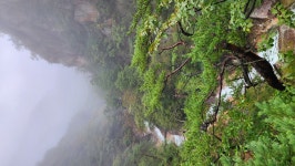오색 주전골 용소폭포 산행 2 - 정기산행 앨범 - 서산 천지산악회 오색 주전골 용소폭포 산행 2