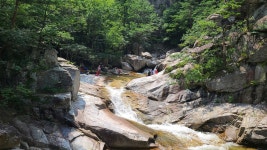 오대산,노인봉 소금강계곡으로 초대합니다 - 번개및기획산행 신청 - 서산 천지산악회 오대산,노인봉 소금강계곡으로 초대합니다