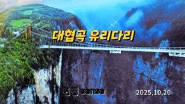 장가계 대협곡 (영상) - 해외여행&트레킹 앨범 - 서산 천지산악회 장가계 대협곡 (영상)