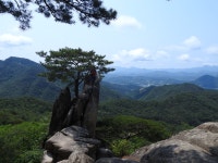 ***아름다운 작은 동산~이야기 둘 ^*~ - 개인산행 앨범 - 서산 천지산악회 ***아름다운 작은 동산~이야기 둘 ^*~