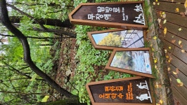 오색 주전골 용소폭포 산행 2 - 정기산행 앨범 - 서산 천지산악회 오색 주전골 용소폭포 산행 2