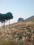 [2023년 11월] 한국 / 수원 1박 2일 - 내가 간 여행 - 작가지망생의 미로찾기 [2023년 11월] 한국 / 수원 1박 2일