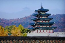 오늘의 명상- - 향기 세상 - 정토마을 오늘의 명상-