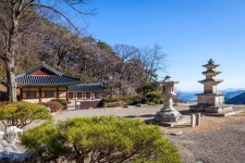 오늘의 명상- - 향기 세상 - 정토마을 오늘의 명상-