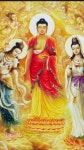 사람의 향기*234 - 향기 세상 - 정토마을 사람의 향기*234