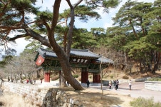 사람의 향기-179 - 향기 세상 - 정토마을 사람의 향기-179