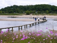 오늘의 명상- - 향기 세상 - 정토마을 오늘의 명상-