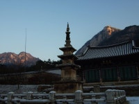 오늘의 명상- - 향기 세상 - 정토마을 오늘의 명상-