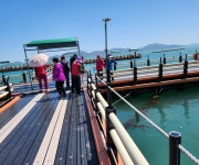 23.4.9보길도 - ♣ ― 삼 수 산 악 회♣ - 무궁화관광 23.4.9보길도