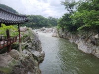 금봉 - ♣ ―‥ 기 타 사 진 ♣ - 무궁화관광 금봉