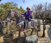 23.3괴산 - ♣ 대 덕 복 지 회 관♣ - 무궁화관광 23.3괴산