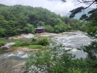 금봉 - ♣ ―‥ 기 타 사 진 ♣ - 무궁화관광 금봉