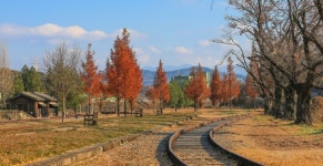 11월1일(일)~2일(월) 1박2일 지리산여행 .함양.남원여행(아담원.... 11월1일(일)~2일(월) 1박2일 지리산여행 .함양.남원여행(아담원.인산가호텔)