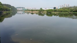 남강변 둘레길(경상대병원앞~새벼리. 가좌동) - ◈*자유 사진방 - 한영농원 한영농원