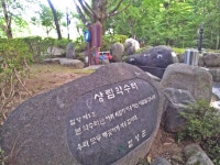 삔침긋은 햇살을 맞으며 꽃구경을 가다! - 함양 상림공원, 개평한옥마을, 돌아오는 길에 거창 창포원~ - 일반산행후기 - 수리뫼 산악회-바람의능선... 