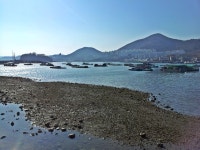 이름 하나는 거창한 섬, 장도를 돌아보고! - 여수시 안심산(347.9)~무선산(216.7) 산행후 장도 한바퀴~ - 가입인사 - 대구청산산악회 이름... 