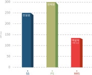 맥섬석 인증특허 - ♣ 맥섬석 웰리온 - 웰리온 맥섬석 인증특허