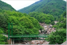 28산우회 7월 피서산행 (지리산 거림골&세석평전) - ★공지사항★ - 28산우회 28산우회 7월 피서산행 (지리산 거림골&세석평전)