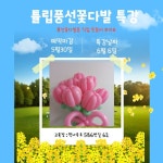 인천 미추홀구 튤립풍선꽃다발 수강료 무료특강 원데이클래스 - 6월6일 (참여비있음) - ◎─ 풍선수업안내 - 미추홀풍선파티 이벤트로 인천... 