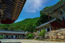오늘은 강진을 다녀왔습니다, - ★ ...좋 은 사 진 ...★ - 겸백초등학교34회 오늘은 강진을 다녀왔습니다,