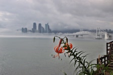 이기대 해안의 참나리 / 해운대의 해무 - ─‥‥최고의이미지 - 인생은추억여행 이기대 해안의 참나리 / 해운대의 해무