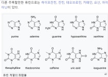 Re: 통풍, 요산을 대신하는 항산화제!! - 생리학, 생화학 - 치료적 맞춤운동, 비타미네, 영성 연구소 Re: 통풍, 요산을 대신하는 항산화제!!