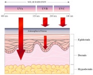 medicine - 치료적 맞춤운동, 비타미네 연구소 Nutraceuticals for Skin Care: A Comprehensive Review of Human Clinical Stud