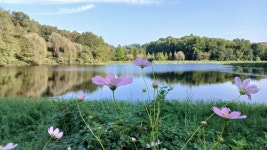 건지산ㅡ혼불문학공원 ㅡ장군봉 코스 불났어요ㅡ - 개인사진속으로 - 전주알파인클럽(문의:010-8621-1915) 건지산ㅡ혼불문학공원 ㅡ장군봉... 