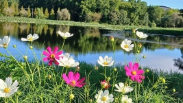 건지산ㅡ혼불문학공원 ㅡ장군봉 코스 불났어요ㅡ - 개인사진속으로 - 전주알파인클럽(문의:010-8621-1915) 건지산ㅡ혼불문학공원 ㅡ장군봉... 