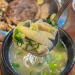 노지 야채 수확캠핑 - 참우 가족 소식란 - 장손태 참우양곱창 노지 야채 수확캠핑