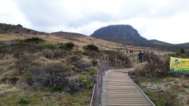 선박-목포-제주 [1무1박3일] 어리목~윗세오름~영실등반 +관광 - / 자유게시판 / - 산오름 카페 선박-목포-제주 [1무1박3일] 어리목~윗세오름... 