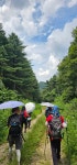 경기둘레길 25코스 산음자연휴양림-가평설악터미널 - 인생길도보여행 걷기 外 - 클래식 뜨락 경기둘레길 25코스 산음자연휴양림-가평설악터미널