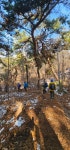 4길 원효길 - 평택섶길(進) - 클래식 뜨락 4길 원효길