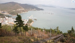 제349회12월24일요일 해남땅끝전망대,진도대교 트레킹공지... 100세 트레킹 산악회 제349회12월24일요일 해남땅끝전망대,진도대교 트레킹공지