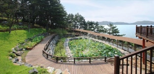 제330회 보령죽도상화원,해저터널,꽃지해수욕장트레킹... 100세 트레킹 산악회 제330회 보령죽도상화원,해저터널,꽃지해수욕장트레킹