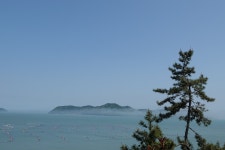 2022년 5월 22일 해남 땅끝 전망대 및 달마고도길 트래킹(8)... 100세 트레킹 산악회 2022년 5월 22일 해남 땅끝 전망대 및 달마고도길 트래킹(8)