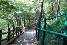 2022년 5월 22일 해남 땅끝 전망대 및 달마고도길 트래킹(11) - ● 정기산행추억앨범 - 광주거북이 100세 트레킹 산악회 2022년 5월 22일... 