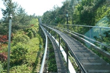 2022년 5월 22일 해남 땅끝 전망대 및 달마고도길 트래킹(9) - ● 정기산행추억앨범 - 광주거북이 100세 트레킹 산악회 2022년 5월 22일 해남... 