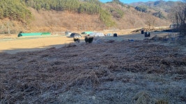 적상면 사산리 저렴한 토지(4600만원) - 토지 - 무주랜드공인중개사 적상면 사산리 저렴한 토지(4600만원)