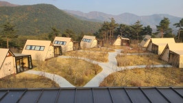 팔공산 트리랜드 글램핑 현장 스타트 - 팔공산 트리풀 글램핑장 시공소개(22년11월~23완공) - 라온 로그팀버/통나무 건축 팔공산 트리랜드... 