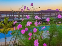 강화도 후포항 - 풍경갤러리 - 별빛뜨락 별빛뜨락