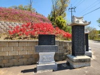 파주 법원읍 홍랑 철쭉/삶, 숨, 쉼터, 나무 이야기199 - 월출산방 - 월출산방 파주 법원읍 홍랑 철쭉/삶, 숨, 쉼터, 나무 이야기199