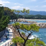 O.B산악회 삼척 조코해변과 해신당 공원가다 - 산행후기 - 중앙대인천산악회 O.B산악회 삼척 조코해변과 해신당 공원가다