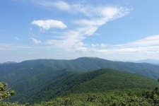 진 고개 가는길엔 셀레임 가득~~진고개/노인봉/소금강(25/7/24/목) - 일반♡산행♡후기♡ - 낙동산악회 진 고개 가는길엔 셀레임 가득~~진고개... 