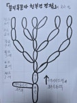 3. 연재 - 신씨 칼럼/ 논단..............* - 영산영월신씨 카페 3. 연재