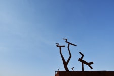 Nikon Blog :: D7200 태그의 글 목록 D7200 태그의 글 목록